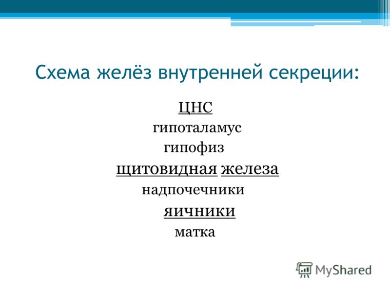 Причины длительного течения месячных методы лечения