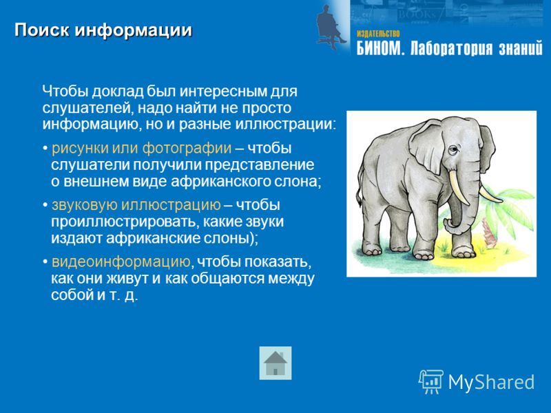 про доклад слона американского