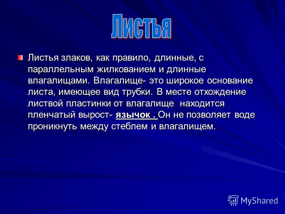 Миньет со звездами: смотреть русское порно видео онлайн бесплатно