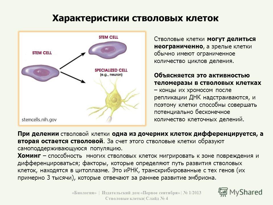 Гдз по волиной