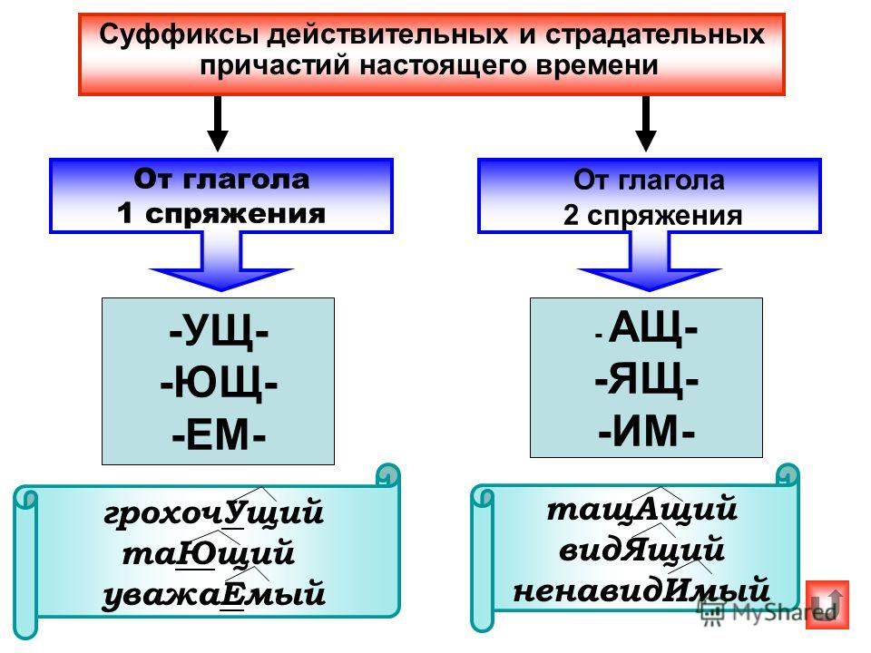 Схема причастия действительные и страдательные причастия Схема причастия действительные и страдательные причастия