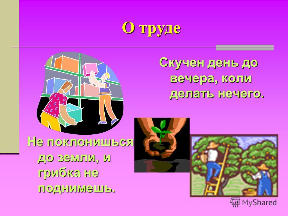 Чему меня учат пословицы Чему меня учат пословицы