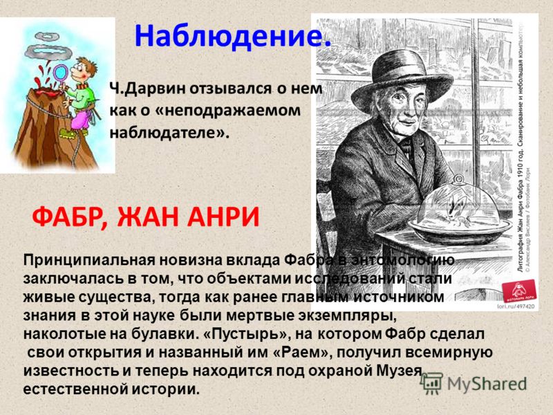 Русский язык 7 класс малыхина