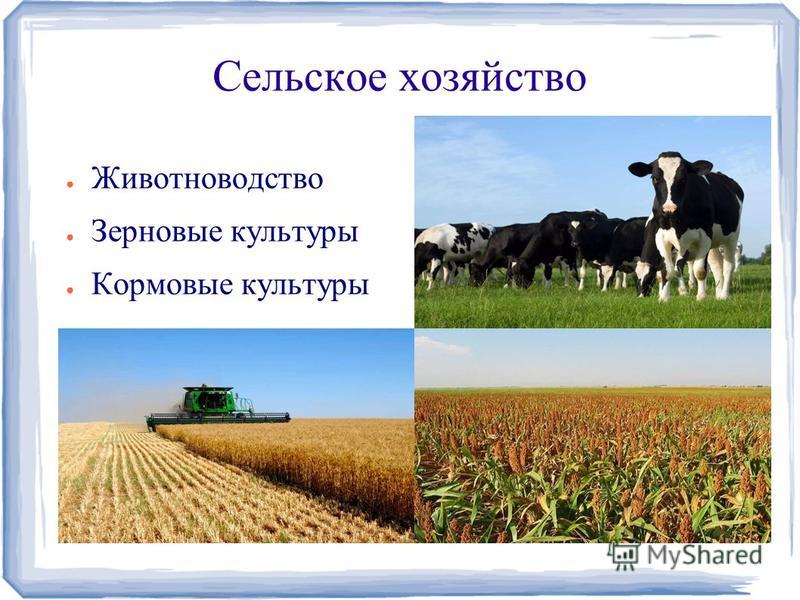 Сельское хозяйство Животноводство Зерновые культуры Кормовые культуры