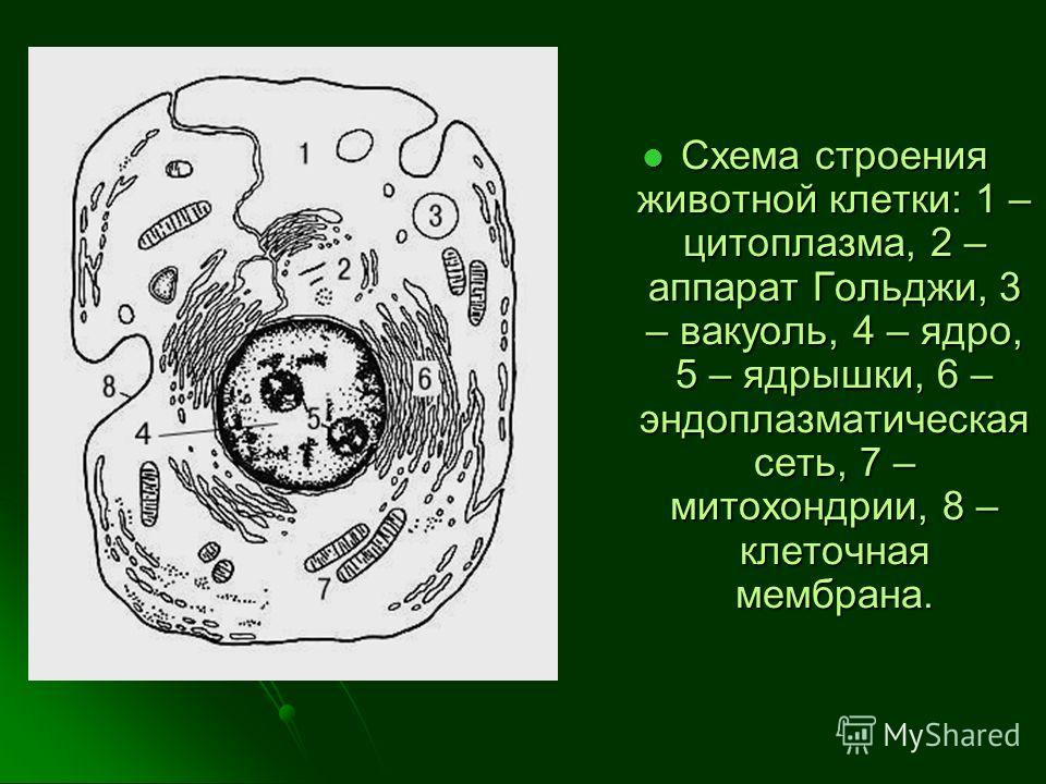 Схема для вышивки японские мотивы Схема для вышивки японские мотивы
