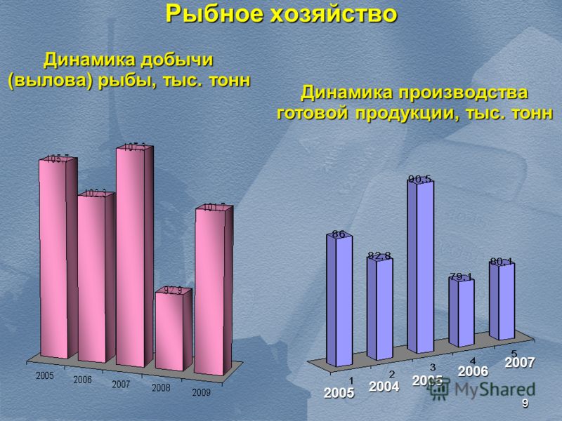 Портфолио как средство развития младшего школьника