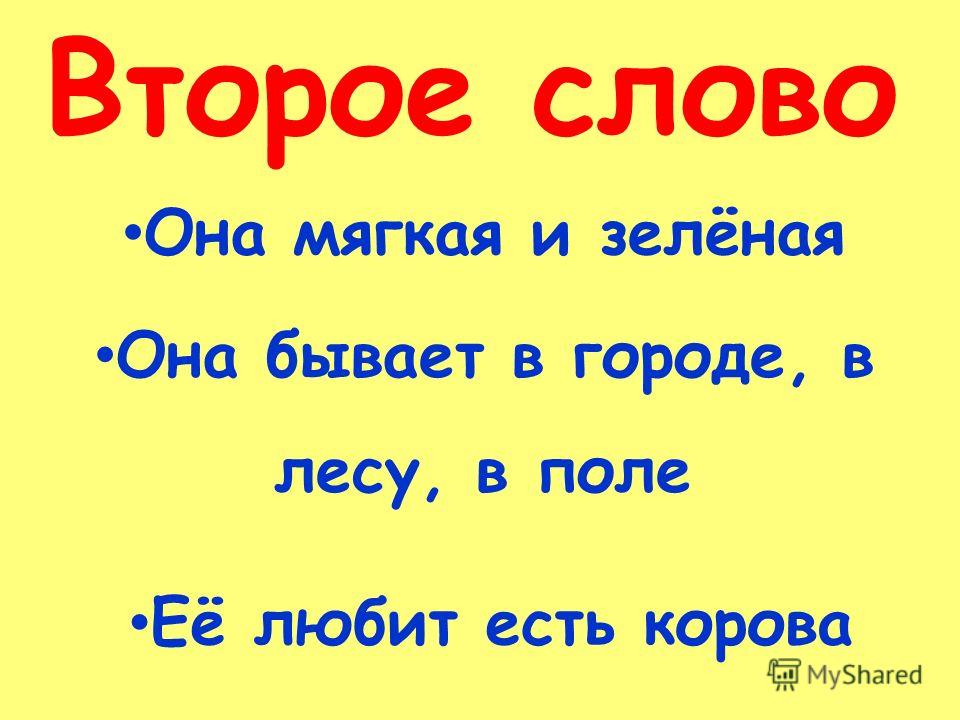 Как нарисовать птицу карандашом: поэтапно для детей Как нарисовать голову человека? Пропорции головы и лица
