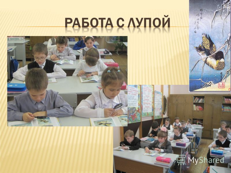 Решебник по русскому языку Желтовская 2 Класс