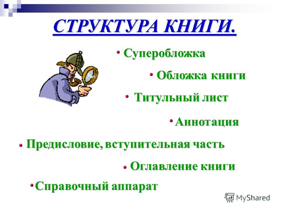 Заказать 1с для интернет магазина