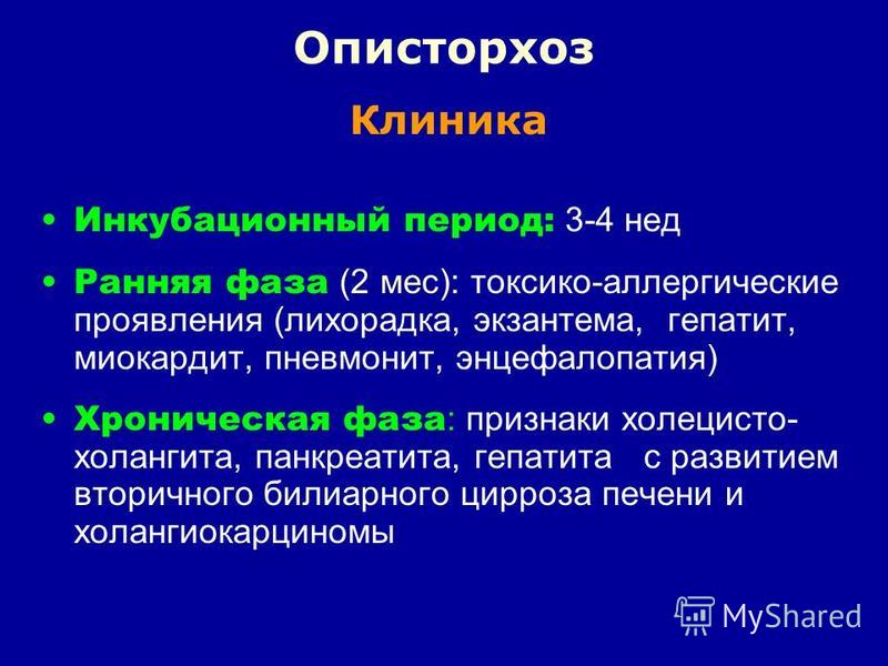 Как выглядит описторхоз у человека