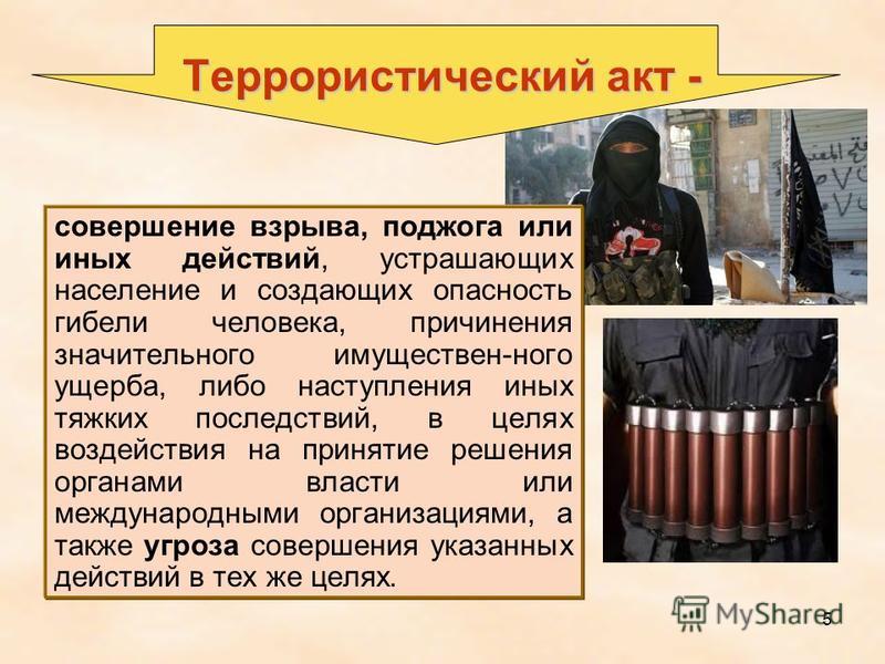 Влияние терроризма на государство проект