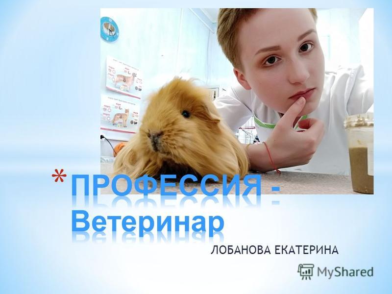 veterinar ppt