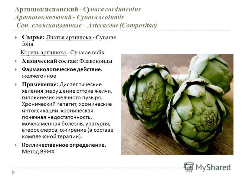 вивасан от диабета вивасан от диабета
