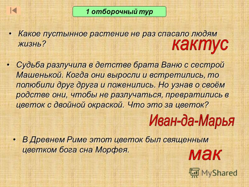5 букв цветок есть буква и 5 букв цветок есть буква и