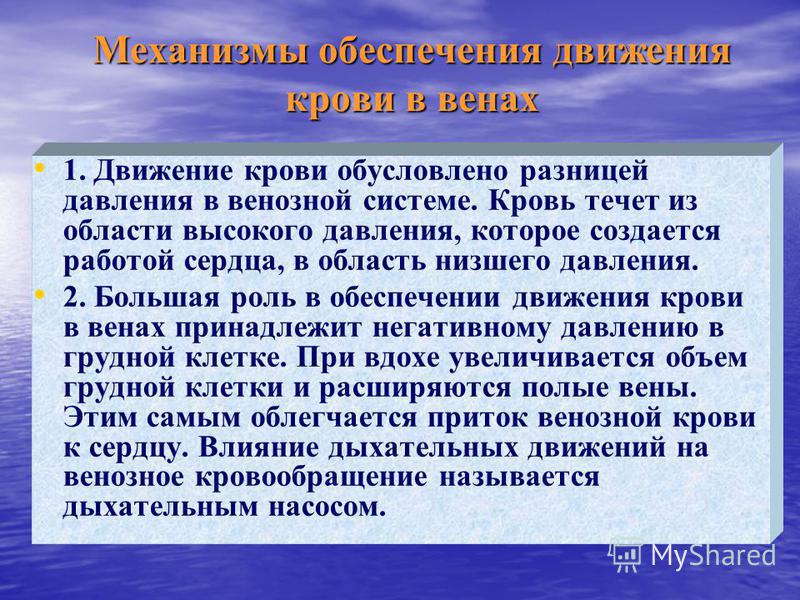 Как избежать варикоза на ногах
