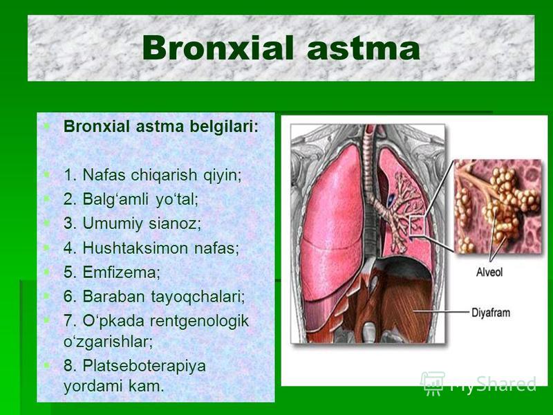 bronxial
