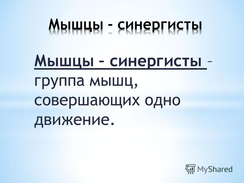 Мышцы синергисты и мышцы антагонисты