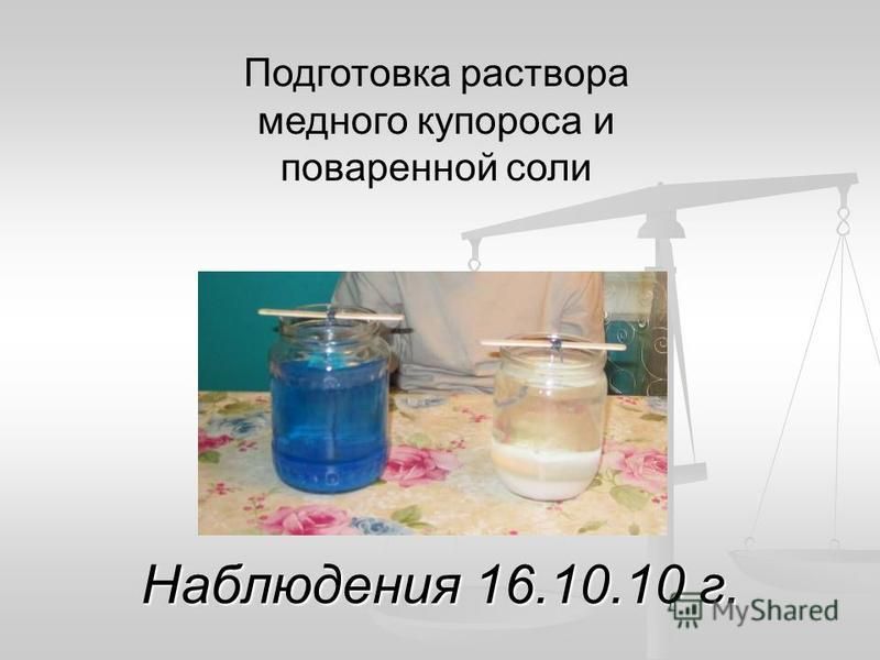 Наблюдения 16.10.10 г. Подготовка раствора медного купороса и поваренной соли