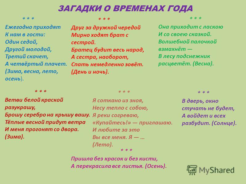 Пальма Хамедорея - уход, пересадка, размножение Отзывы о салоне эротического массажа Салон Дева Клуб