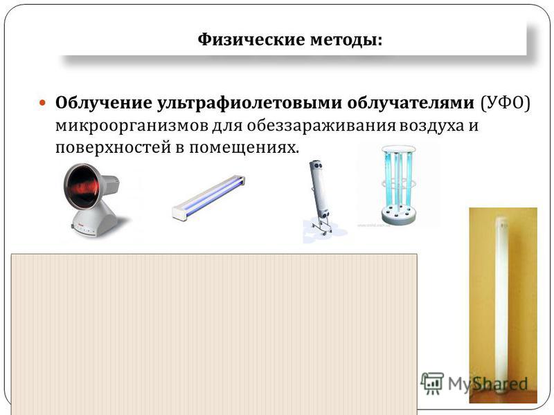 разновидности паразитов в организме человека фото разновидности паразитов в организме человека фото