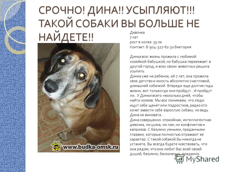Рабочая программа по русскому языку в 6 классе по разумовской
