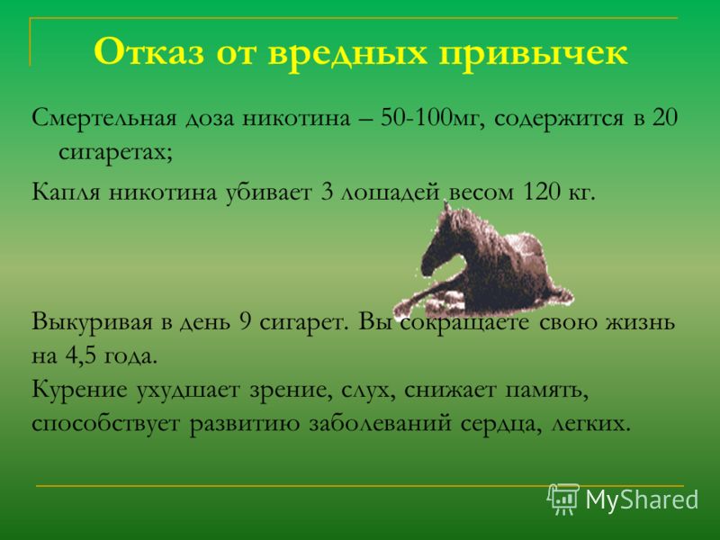 Отказ от вредных привычек Смертельная доза никотина – 50-100мг, содержится в 20 сигаретах; Капля никотина убивает 3 лошадей весом 120 кг. Выкуривая в 