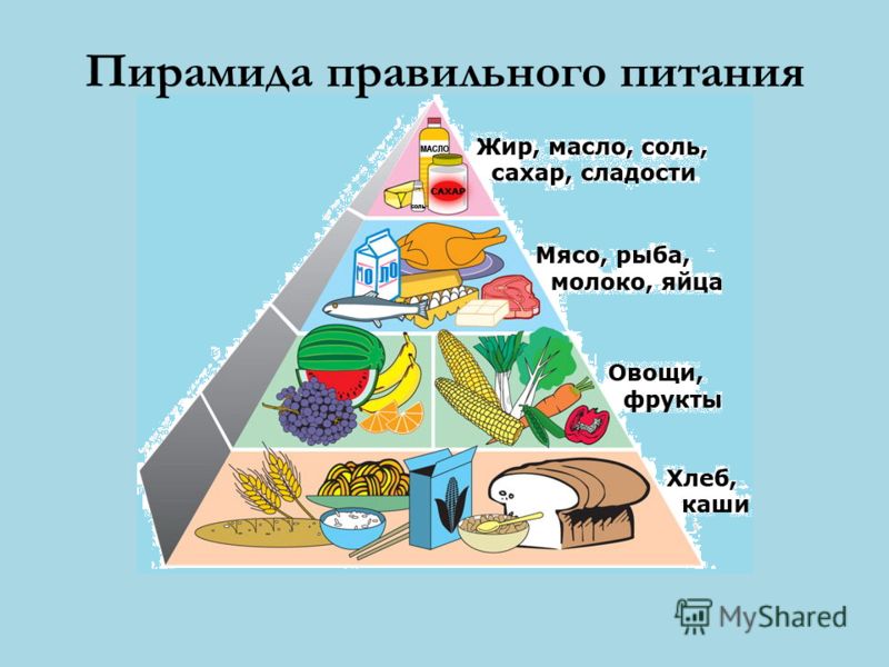 Пирамида правильного питания