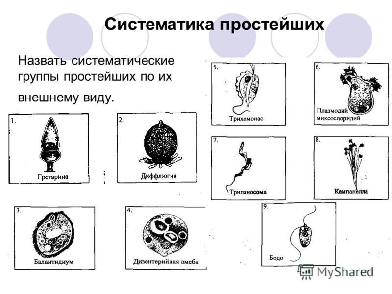 Детские драмы читать онлайн