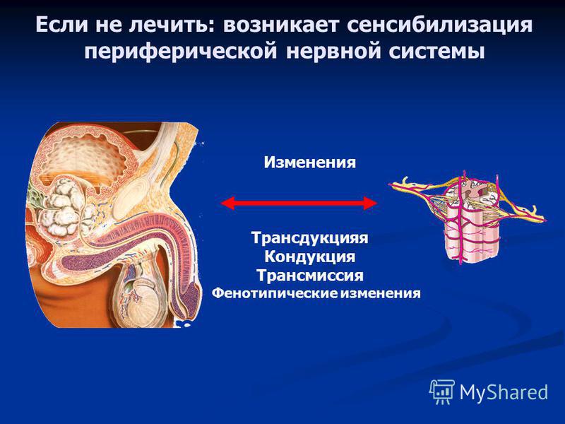 С чего начать обследование предстательной железы
